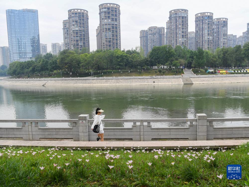 可以提钱的游戏